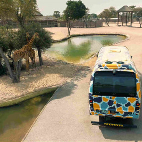 3d7dqb استديو الصور :دبي في حديقة المعجزة + حديقة سفاري دبي – تذكرة كومبو