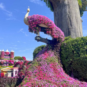 Photo from Miracle Garden + Ski Dubai - Combo in Dubai: Gallery Photo 34j9ob