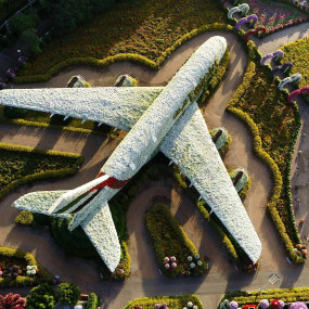 Photo from Miracle Garden + Ski Dubai - Combo in Dubai: Gallery Photo 3bjmp5