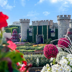 Photo from Miracle Garden + Ski Dubai - Combo in Dubai: Gallery Photo zw62jb