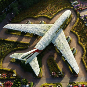 Photo from Miracle Garden + Ski Dubai - Combo in Dubai: Gallery Photo zm07v5