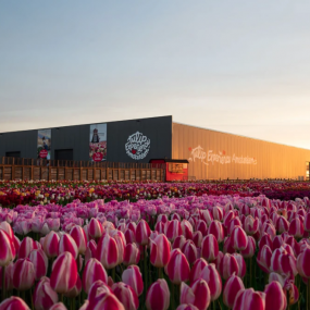 Tulip Experience Amsterdam: Entry Ticket in Amsterdam: Gallery Photo n1591b