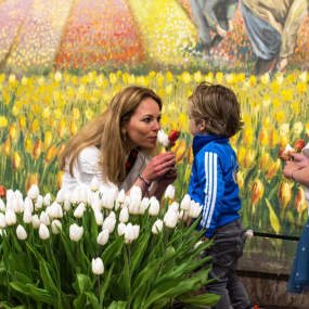 Photo from Tulip Experience Amsterdam: Entry Ticket in أمستردام: Gallery Photo z94jq7