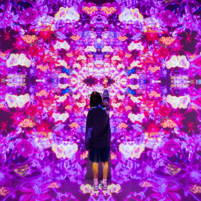 Photo de AYA and House of Hype Discover Pass dans Dubai : Galerie Photo n15906