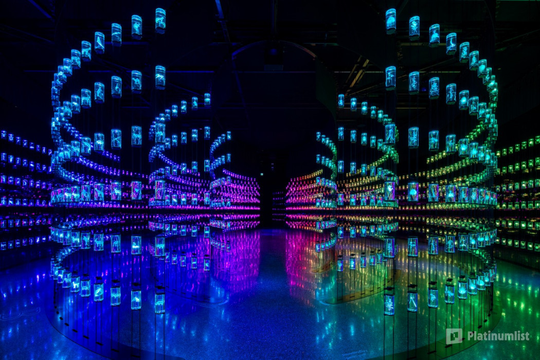 Museum of The Future – Pioneer Pass in Dubai: Gallery Photo 3rw4kg