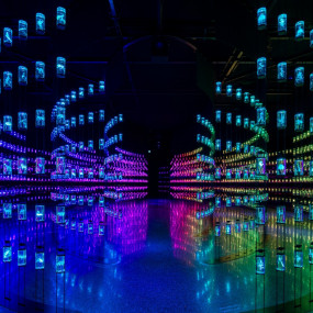 Museum of The Future – Pioneer Pass in Dubai: Gallery Photo 3rw4kg