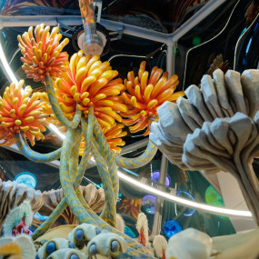 Photo from Museum of The Future – Pioneer Pass in Dubai: Gallery Photo zw62d4