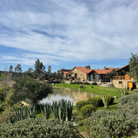 zw62k4 استديو الصور :الدار البيضاء في منتجع العافية بنسليمان