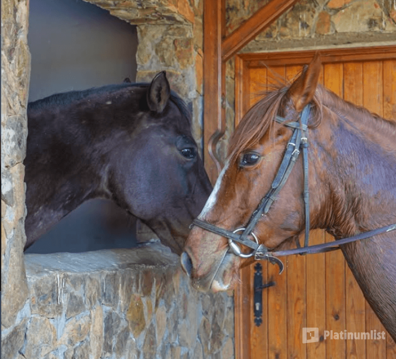 zm0728 استديو الصور :الدار البيضاء في منتجع العافية بنسليمان zm0728 استديو الصور :الدار البيضاء في منتجع العافية بنسليمان