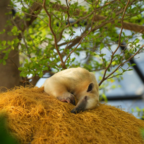 The Butterfly Garden in Abu Dhabi: Gallery Photo 3j51bw