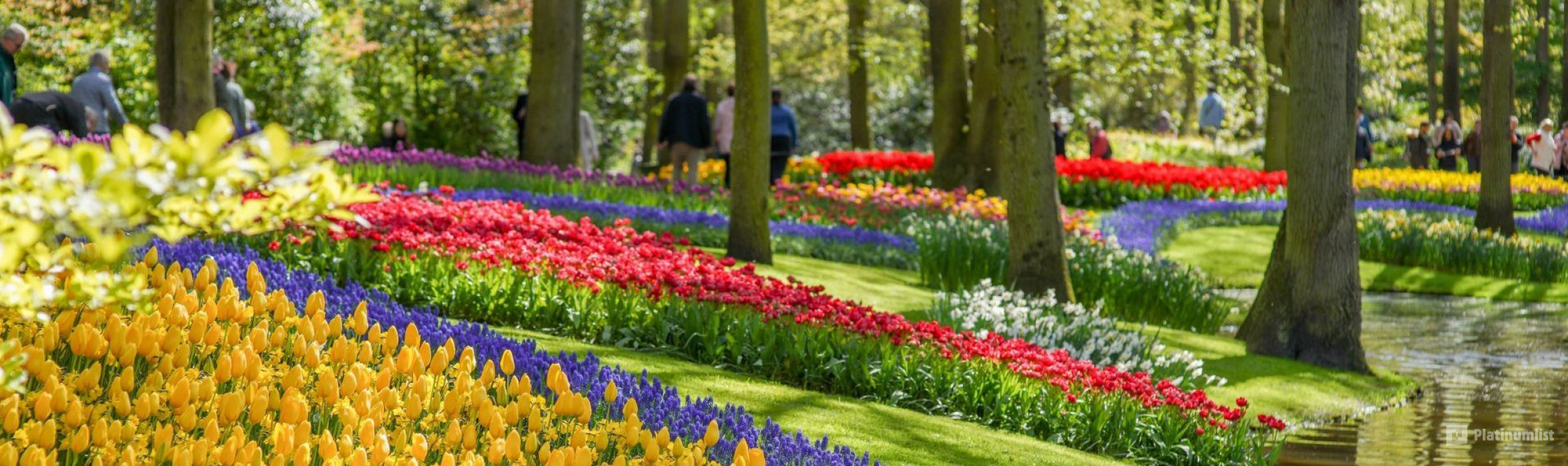 n264jj استديو الصور :أمستردام في كيوكينهوف: تذكرة الدخول