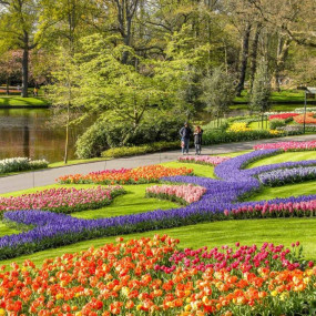 Photo from كيوكينهوف: تذكرة الدخول in أمستردام: Gallery Photo 3d70xb