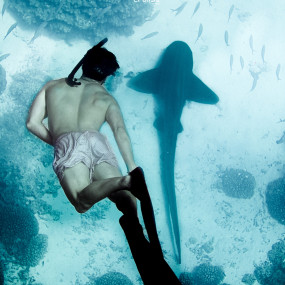 Photo from Daymaniyat Island Half Day Sharing Trip in Muscat: Gallery Photo zm01y6