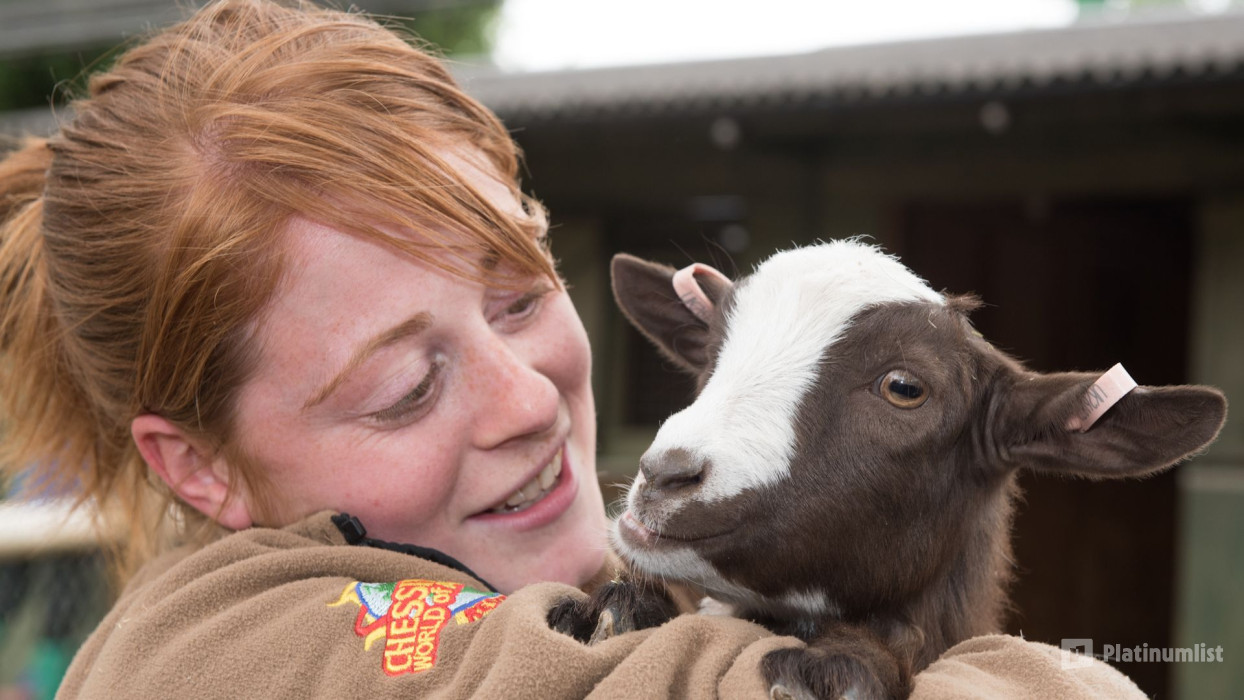 Chessington World of Adventures in London : Galerie de photos zw60xp