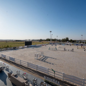 Saudi Equestrian Federation Championship Saudi Professional Show Jumping in Riyadh in Riyadh: Gallery Photo 3pjbqy