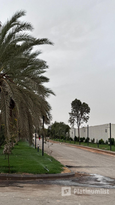 Saudi Equestrian Federation Championship Saudi Professional Show Jumping in Riyadh in Riyadh: Gallery Photo zodbxb Saudi Equestrian Federation Championship Saudi Professional Show Jumping in Riyadh in Riyadh: Gallery Photo zodbxb