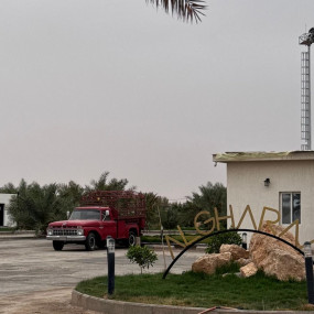 Saudi Equestrian Federation Championship Saudi Professional Show Jumping in Riyadh in Riyadh: Gallery Photo 3pjbq0