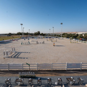 Photo from Saudi Equestrian Federation Championship Saudi Professional Show Jumping in Riyadh in Riyadh: Gallery Photo zg4vb8