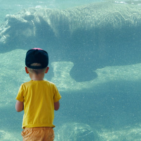 34j7xv استديو الصور :العين في حديقة العين للحيوانات 34j7xv استديو الصور :العين في حديقة العين للحيوانات