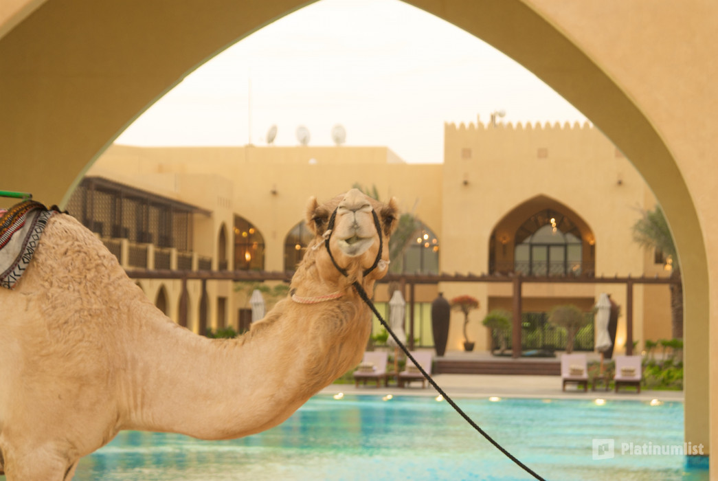 5* Stay at Tilal Liwa Hotel Abu Dhabi in Abu Dhabi: Gallery Photo 3rr853 5* Stay at Tilal Liwa Hotel Abu Dhabi in Abu Dhabi: Gallery Photo 3rr853