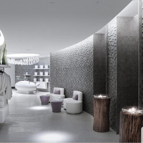 34y6g3 استديو الصور :دبي في سوفيتيل سبا