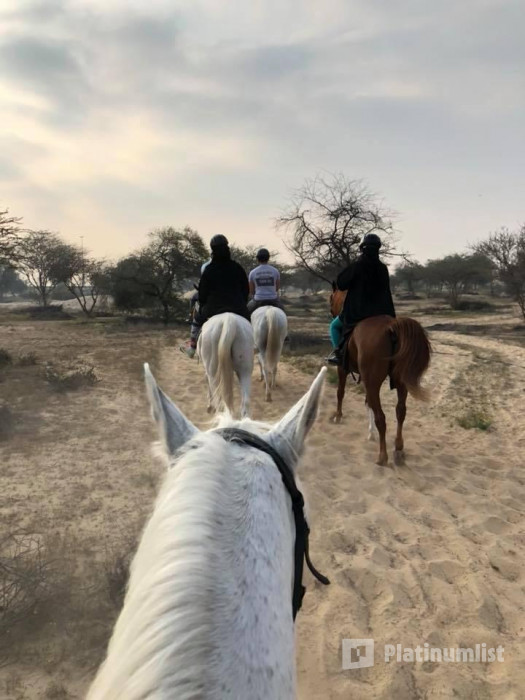 Equestrian Club - Dubai in Dubai: Gallery Photo zvdk7z