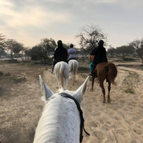 zvdk7z استديو الصور :دبي في Equestrian Club - Dubai