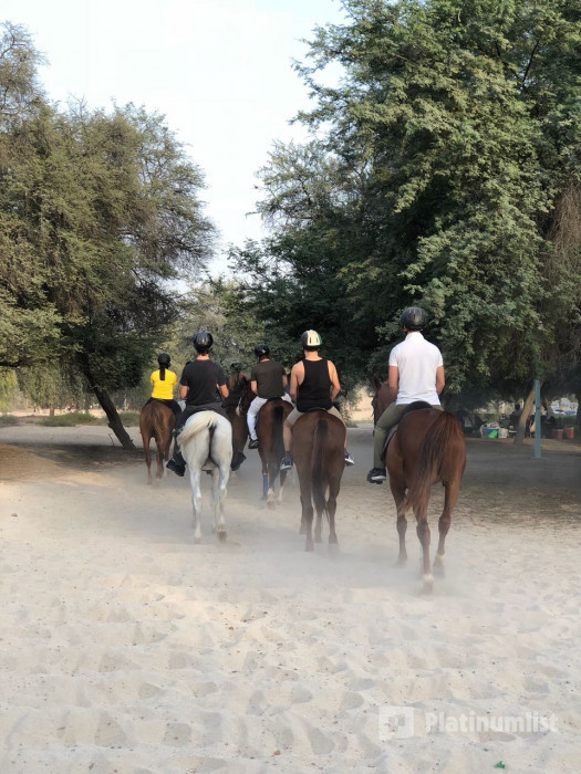 38x4rz استديو الصور :دبي في Equestrian Club - Dubai 38x4rz استديو الصور :دبي في Equestrian Club - Dubai