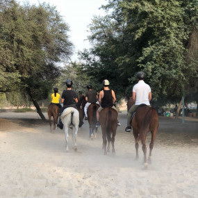 38x4rz استديو الصور :دبي في Equestrian Club - Dubai