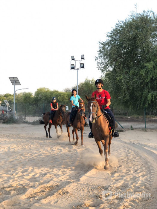 Equestrian Club - Dubai in Dubai: Gallery Photo 3py8q3
