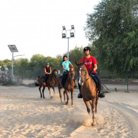 3py8q3 استديو الصور :دبي في Equestrian Club - Dubai