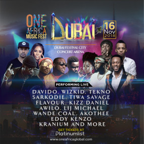 3dkgbz استديو الصور :دبي في One Africa Music Fest 2018