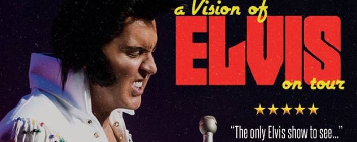 A Vision Of Elvis