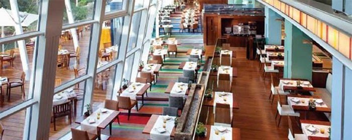 Enchanting Moments at Latitude