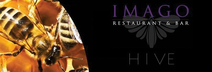HIVE @ IMAGO