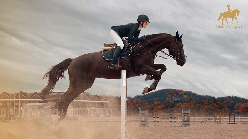 Alfarisa Club Alfarisa Club