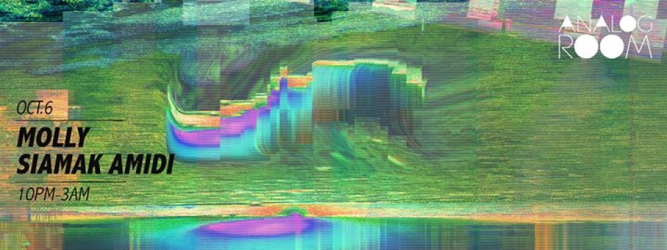 Analog Room pres. Molly - Siamak Amidi Analog Room pres. Molly - Siamak Amidi
