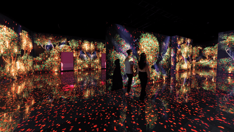 ARTE Museum + House Of Hype - Combo ARTE Museum + House Of Hype - Combo