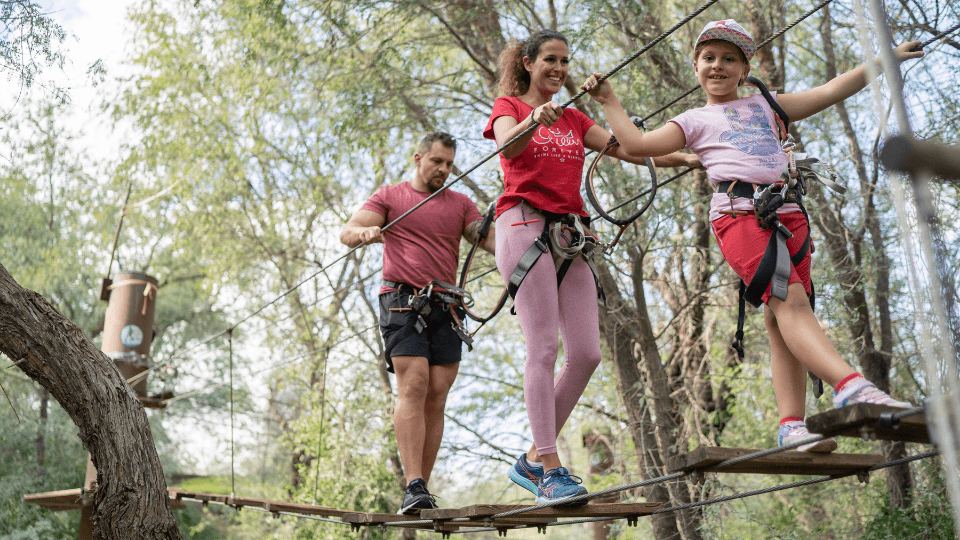 Aventura Park - Forest Explorer Aventura Park - Forest Explorer