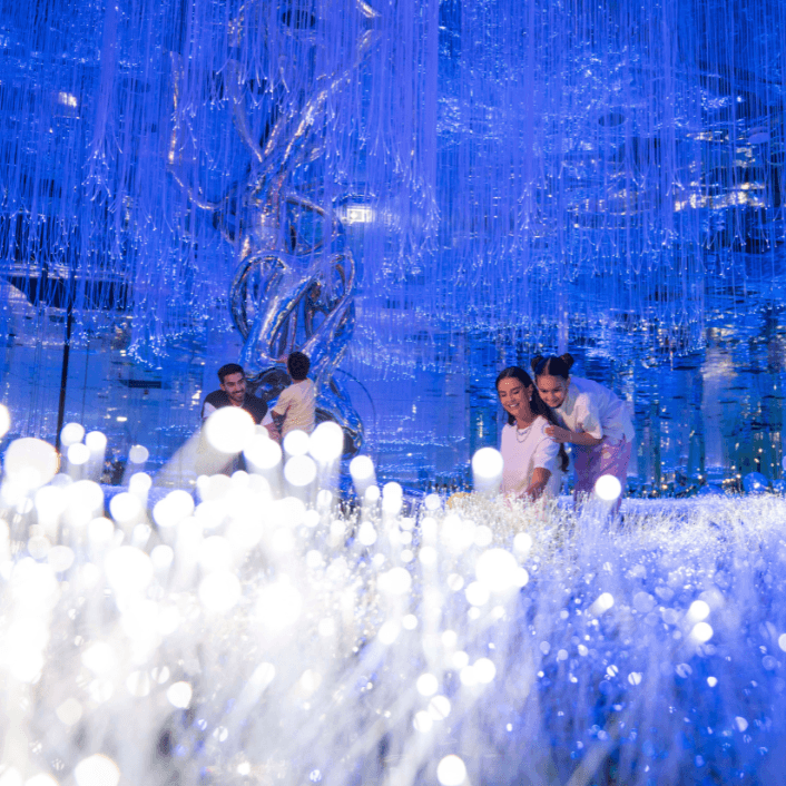 أنشطة داخلية أنشطة داخلية