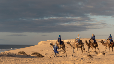 Balade à Dromadaire, Le Ranch des Dunes, Dakhla