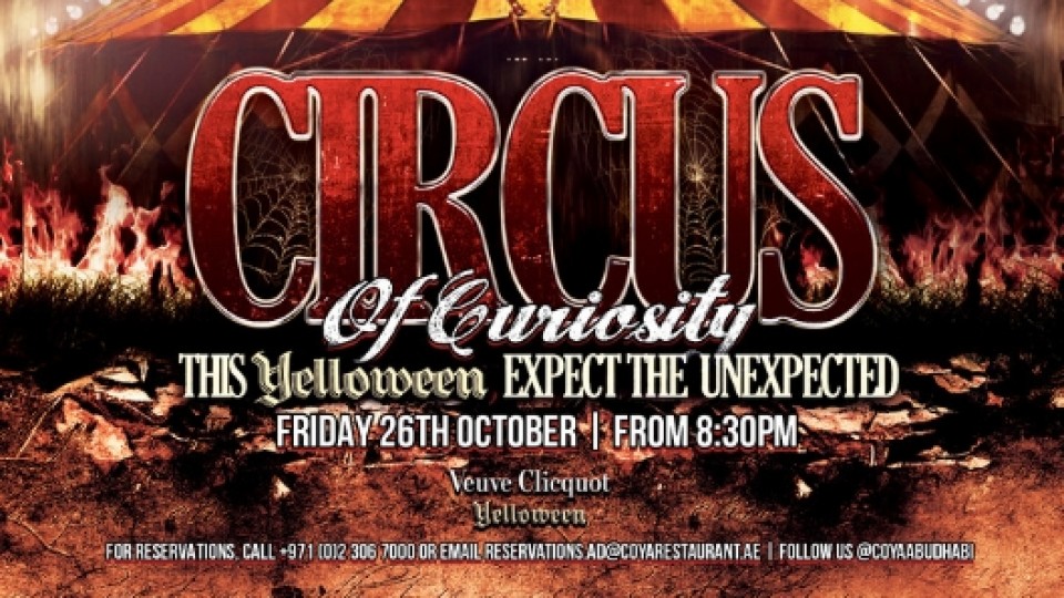 Circus of Curiosity Circus of Curiosity