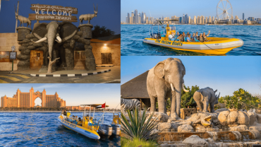 99 Minutes Premium Boat Tour + FREE Emirates Park Zoo - Combo