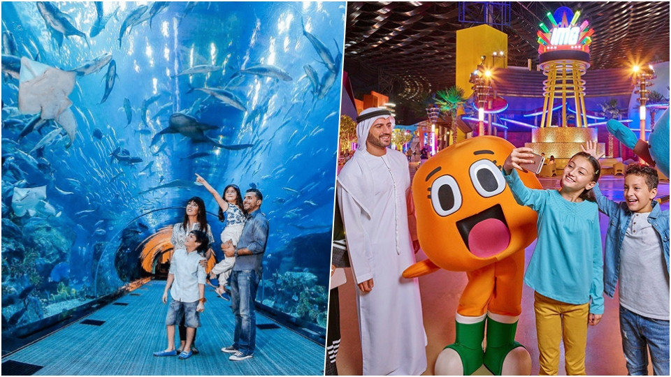 IMG Park + Dubai Aquarium - Combo