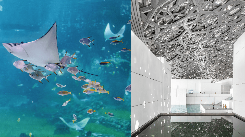 The National Aquarium + Louvre Abu Dhabi - Combo