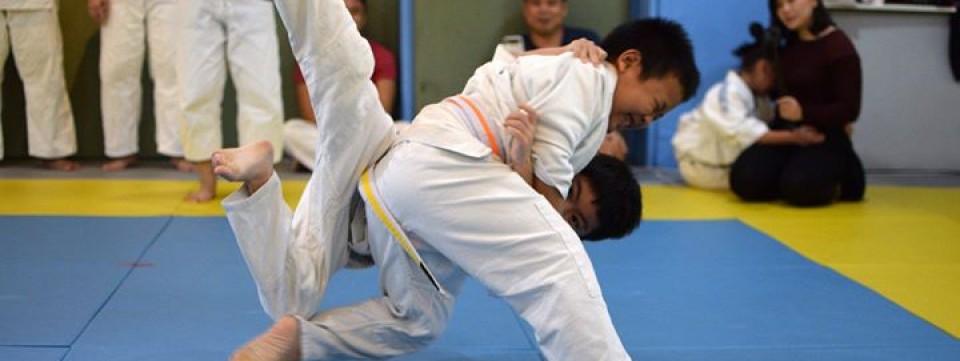 Dojo Lil Champs 2017