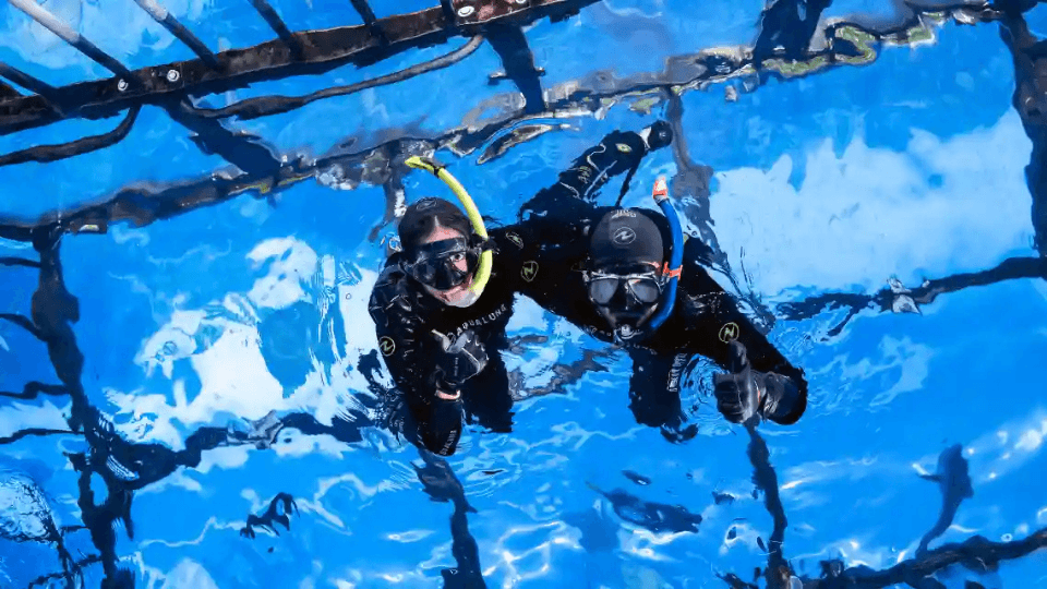 Dubai Aquarium & Underwater Zoo Cage Snorkelling