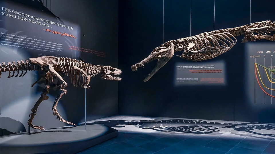 Dubai Crocodile Park