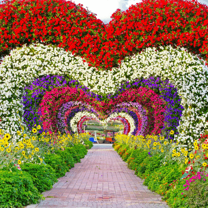 معالم لا بد من زيارتها معالم لا بد من زيارتها