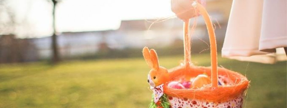 Easter Bunny Brunch